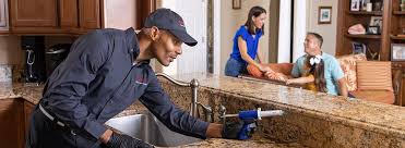 Best Pest Control for Multi-Family Homes  in Prescott Valley, AZ